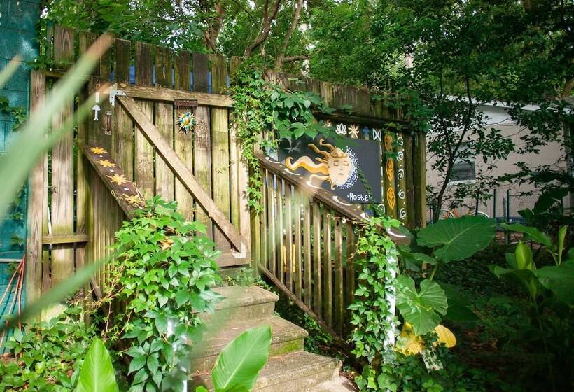 Tallahassee Sun & Moon   Hostel