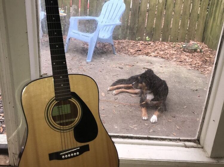 Tallahassee Sun & Moon   Hostel