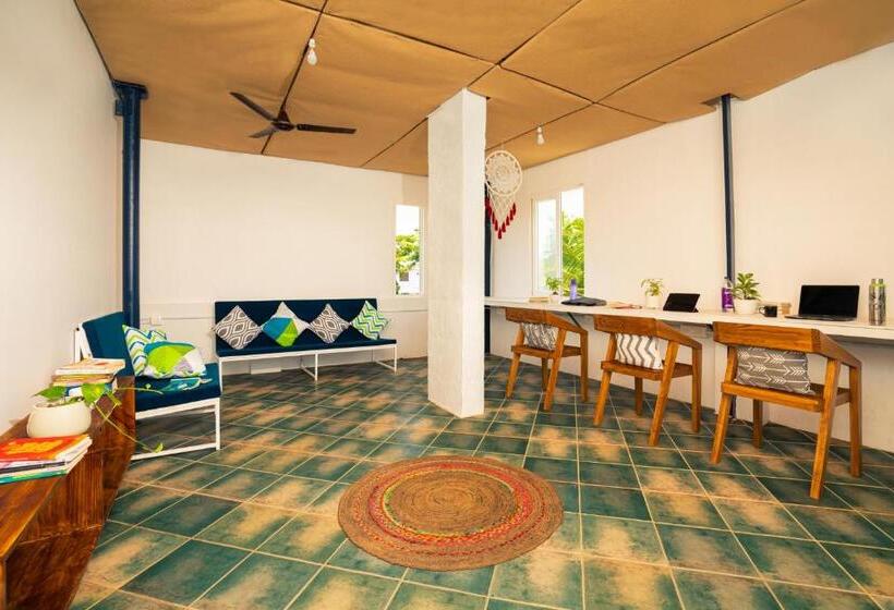 هاستل Zostel Alleppey