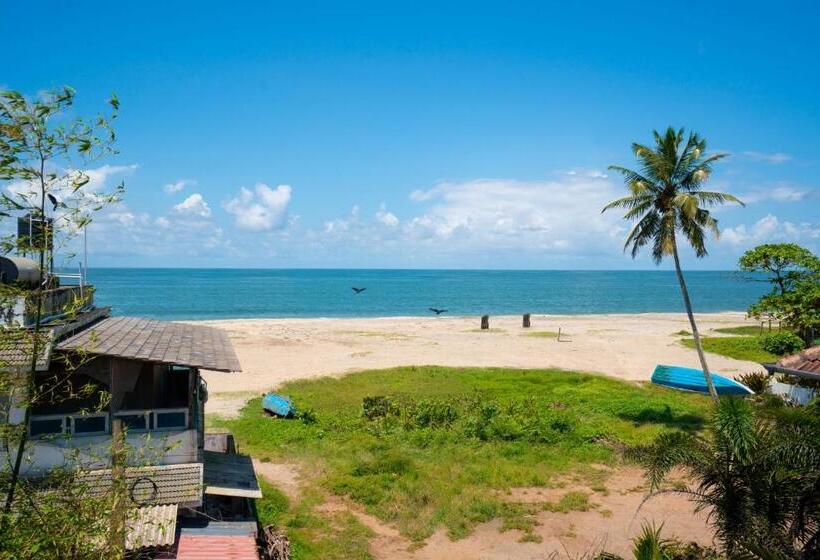 هاستل Zostel Alleppey