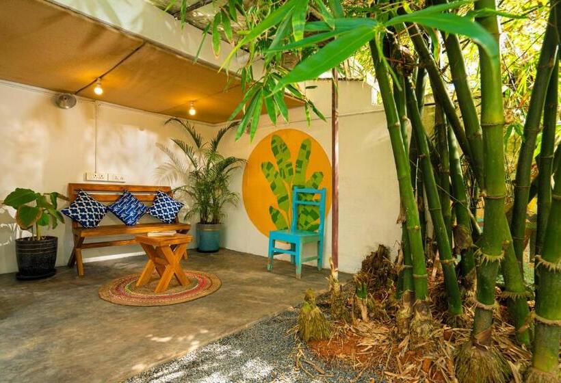 هاستل Zostel Alleppey