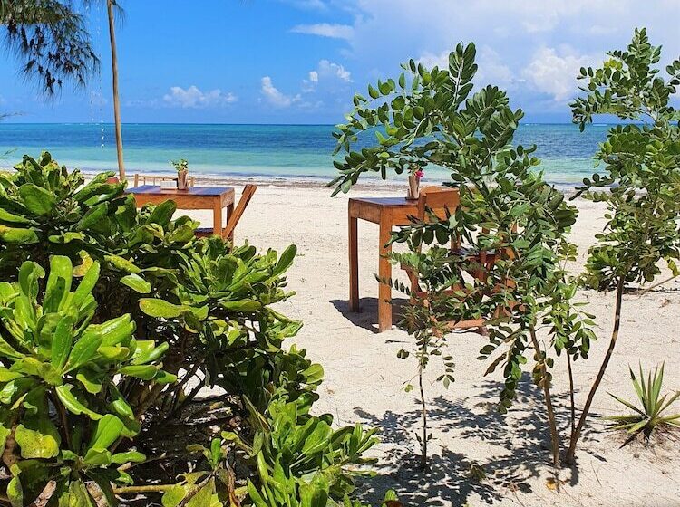 Bed and Breakfast Blue Palm Zanzibar