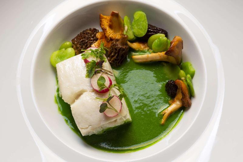 فندق Sophy Hyde Park