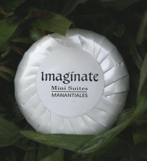 Imaginate