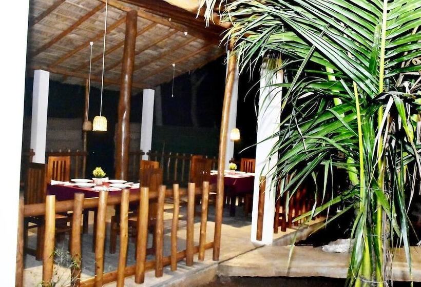 פנסיון Baby Elephant Green House