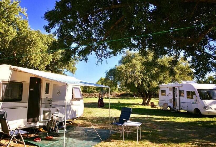 پانسیون Camping & Hôtel Le Calme