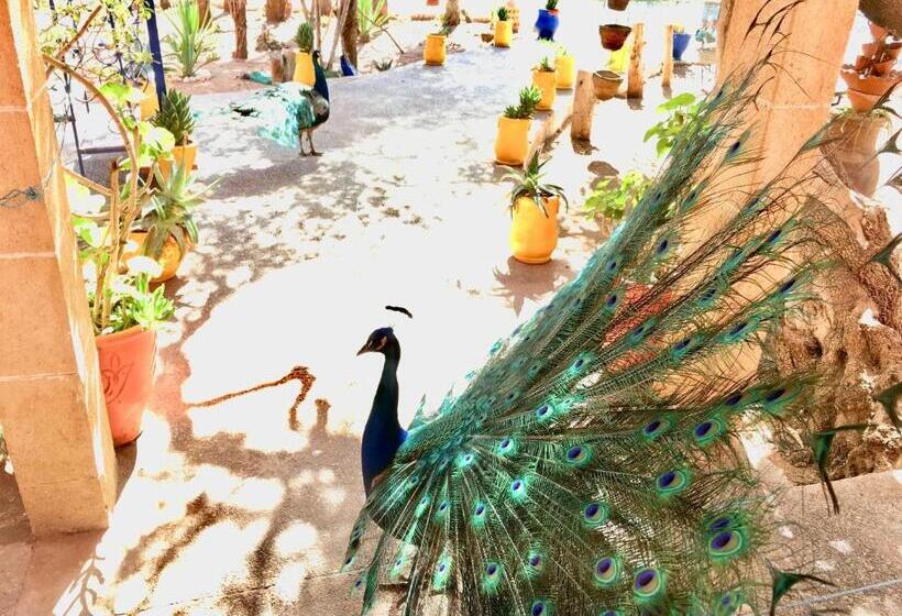 پانسیون Camping & Hôtel Le Calme