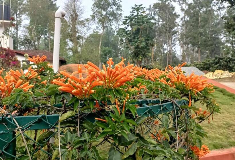 膳宿费 Coorg Kolamotte