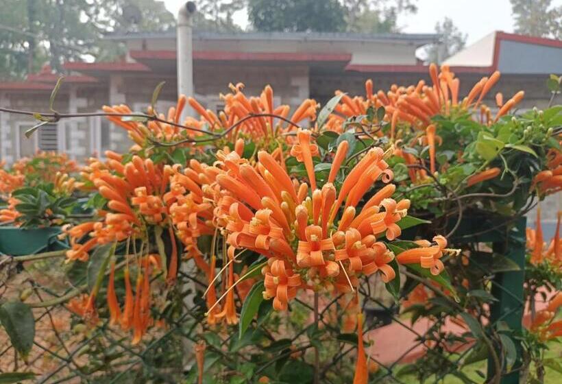 膳宿费 Coorg Kolamotte