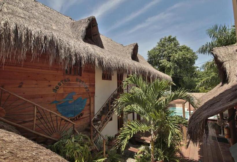 پانسیون Hostal Nibuni Palomino