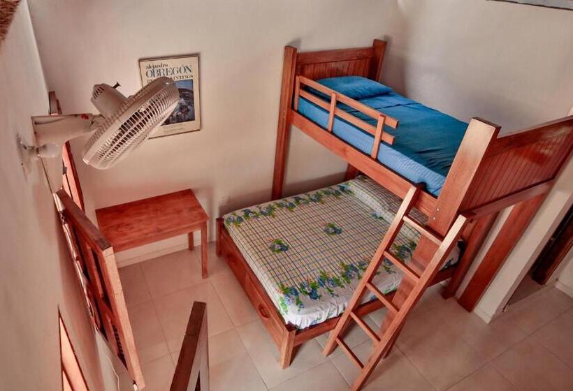 بنسيون Hostal Nibuni Palomino