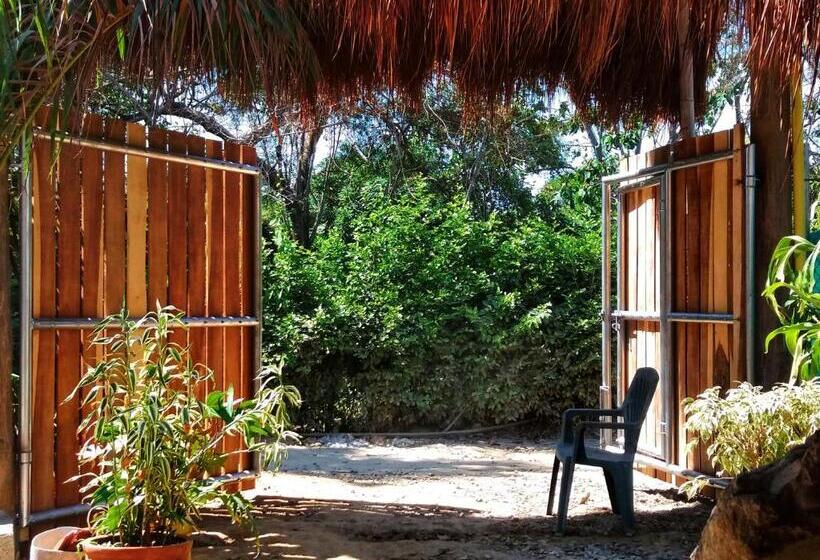 پانسیون Hostal Nibuni Palomino