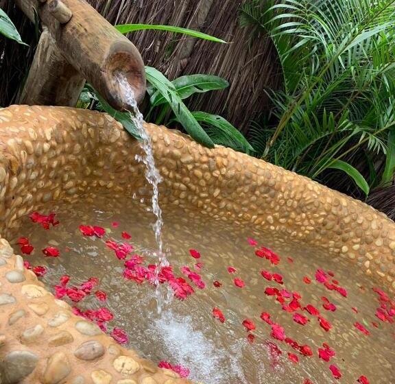 膳宿费 Villa Fulo