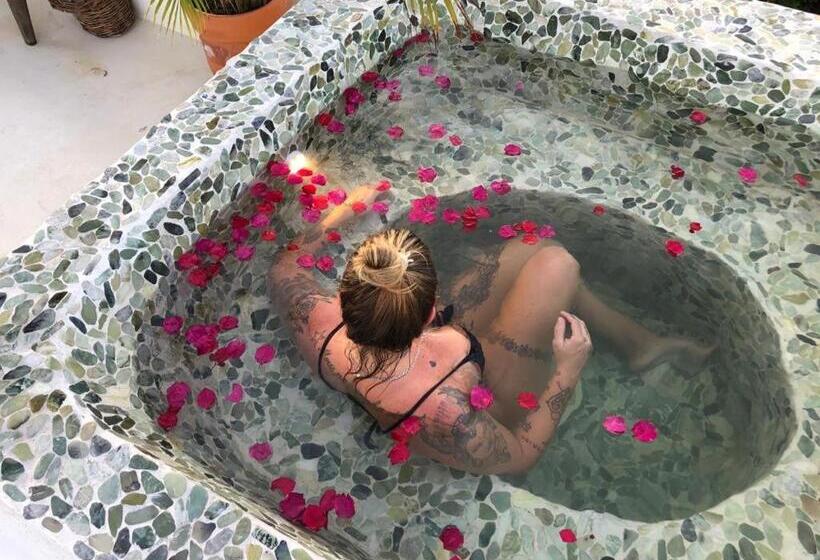 پانسیون Villa Fulo