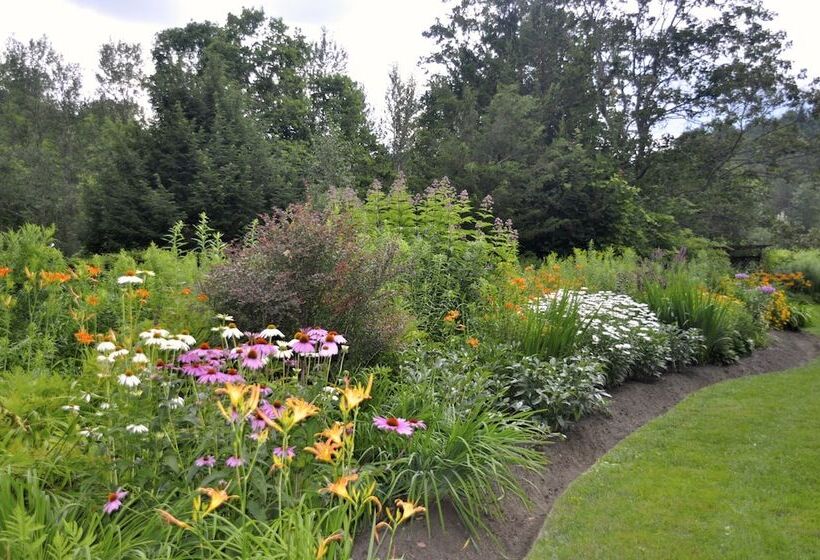 הוסטל The Jackson