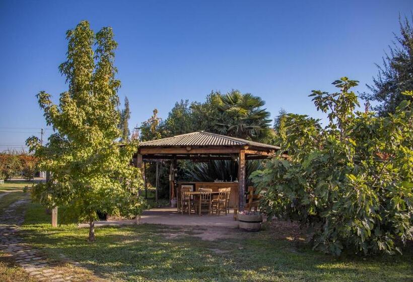 ホテル Agroturismo Mapuweñimen