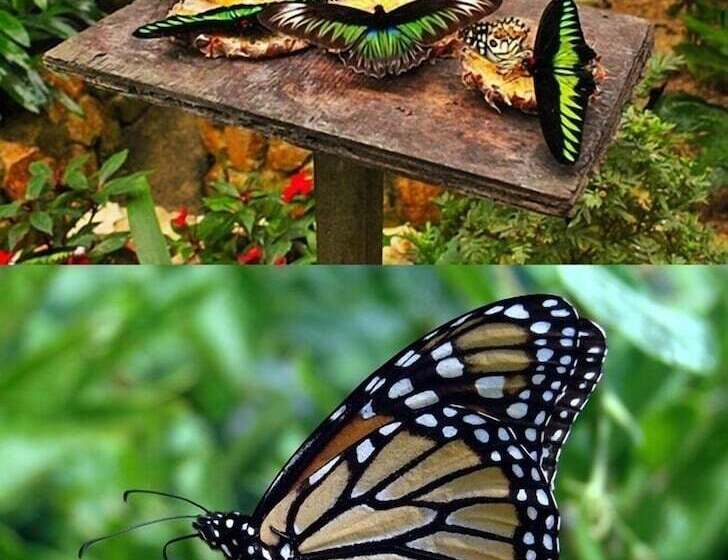 מלון כמוסות Sleepbox Hotel   Hostel