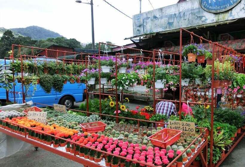 מלון כמוסות Sleepbox Hotel   Hostel