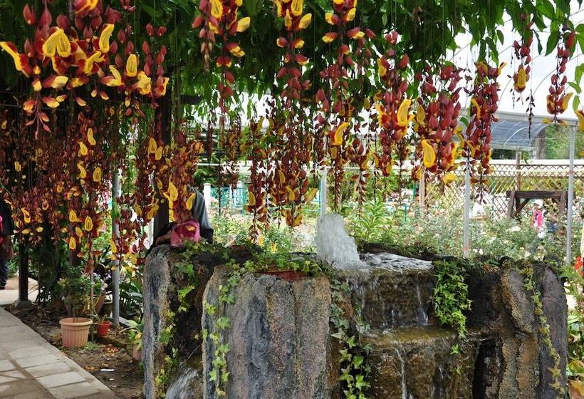 מלון כמוסות Sleepbox Hotel   Hostel