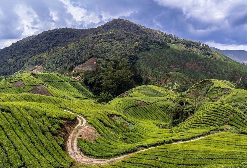 מלון כמוסות Sleepbox Hotel   Hostel