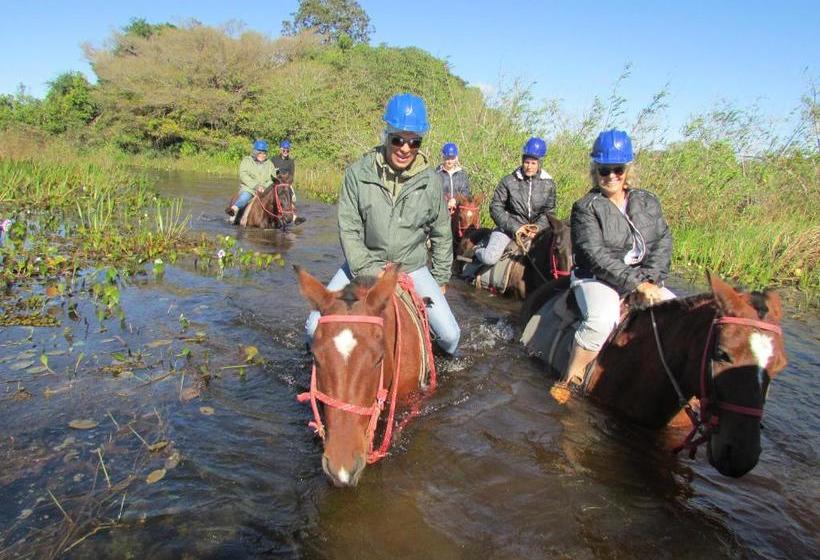酒店 Pousada São João Estrada Parque Pantanal