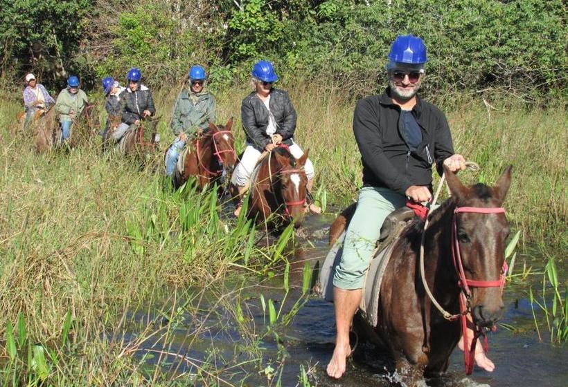 酒店 Pousada São João Estrada Parque Pantanal