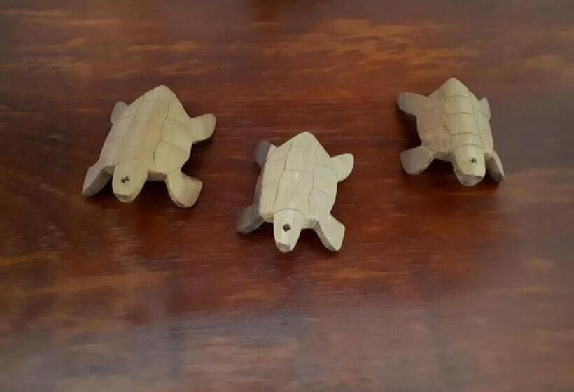 펜션 Cantinho Da Cineka