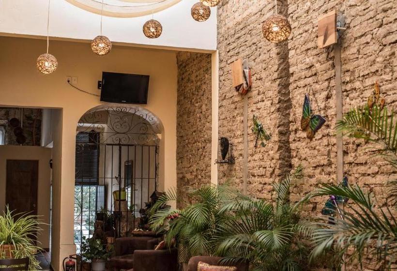 پانسیون Hostal Spa La Casa De Las Libélulas