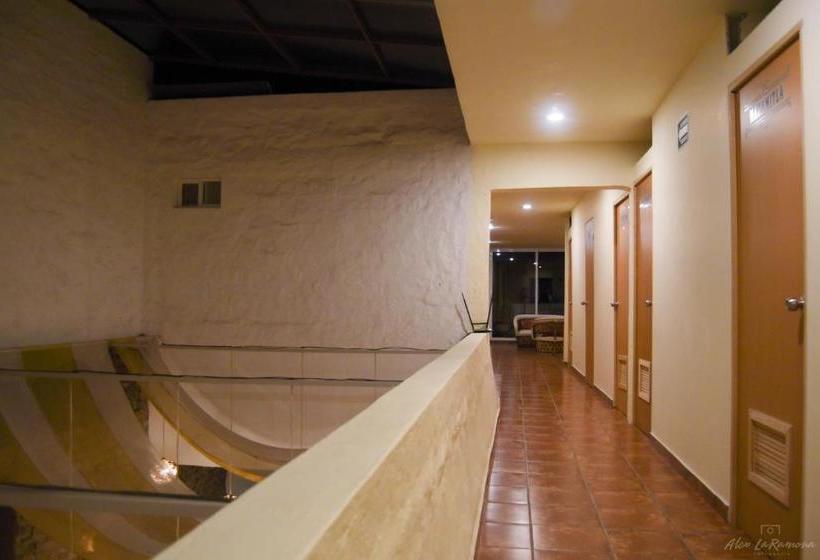 پانسیون Hostal Spa La Casa De Las Libélulas