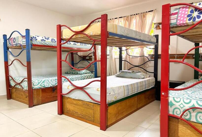 بنسيون La Terraza De Estella