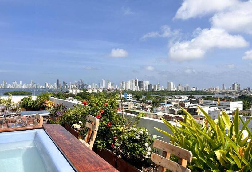 بنسيون La Terraza De Estella