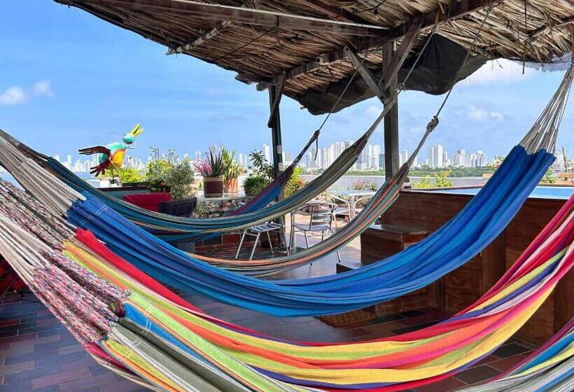 بنسيون La Terraza De Estella