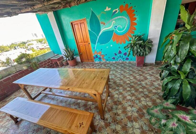 بنسيون La Terraza De Estella