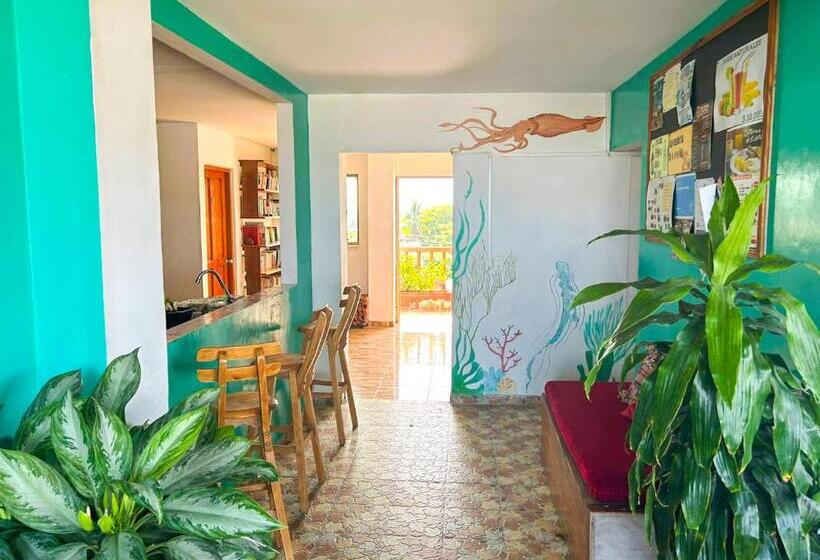 بنسيون La Terraza De Estella