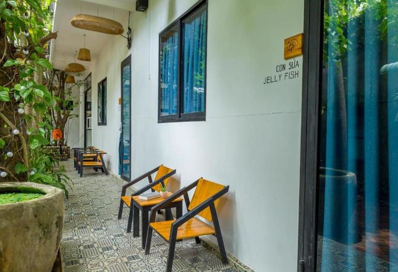 پانسیون The Local House Phu Yen