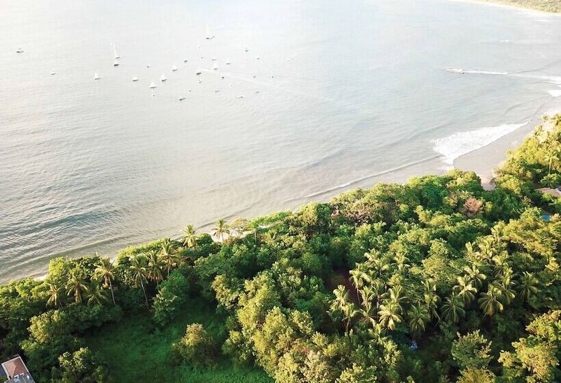 فندق Boho Tamarindo