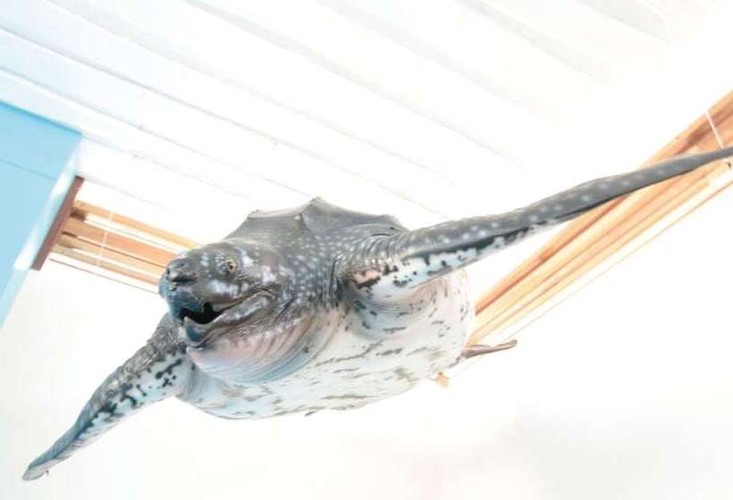 فندق Boho Tamarindo