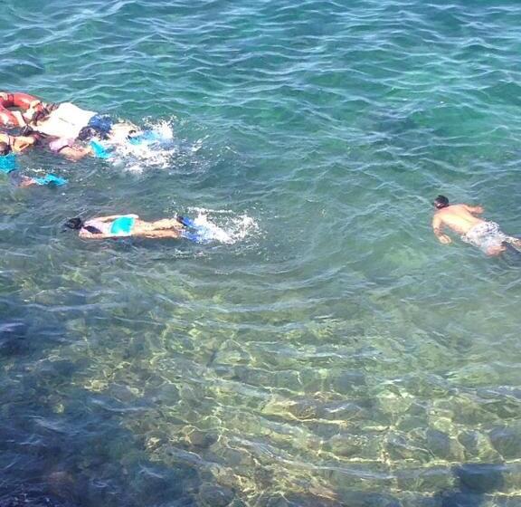 בית מלון כפרי Large Beach