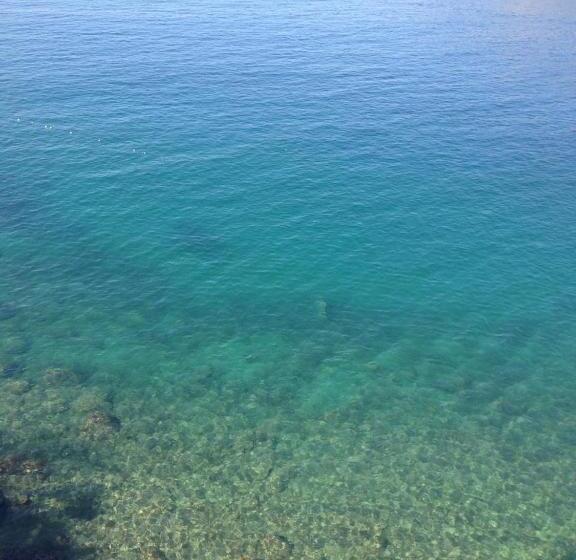 בית מלון כפרי Large Beach