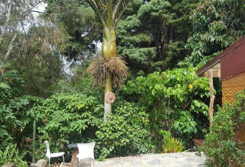 بنسيون Chalet Karaka