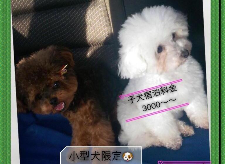 膳宿费 Hakone Villa