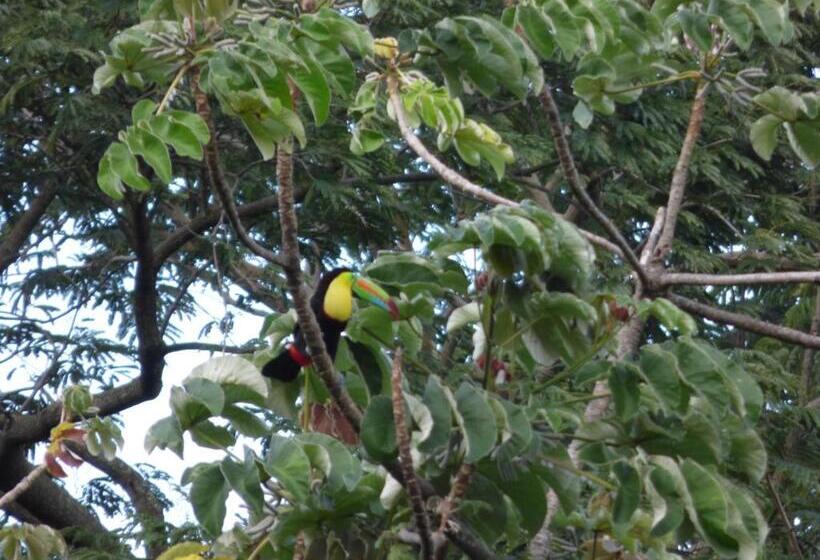 Пансион Hostal Alto De La Montaña