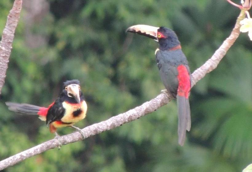 Пансион Hostal Alto De La Montaña