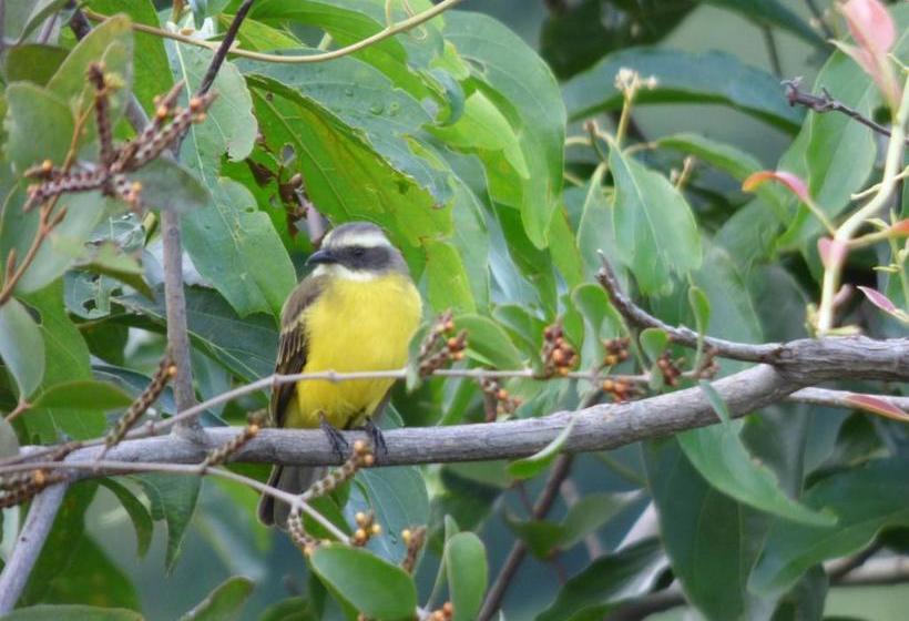 Пансион Hostal Alto De La Montaña