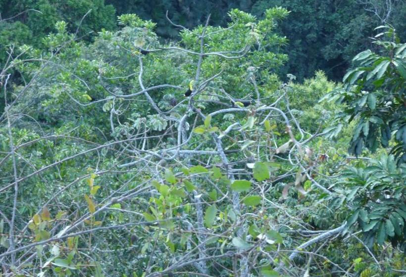 Пансион Hostal Alto De La Montaña