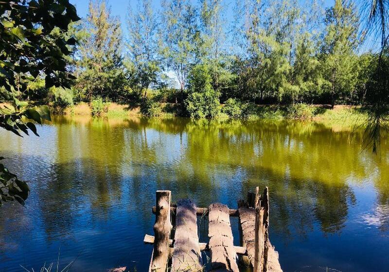 펜션 Numpu Baandin