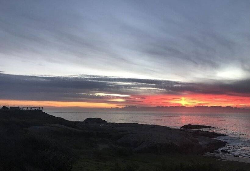 بنسيون Oceans Drift Guest House   Adults Only