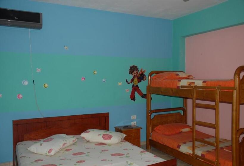 بنسيون Olive Tree