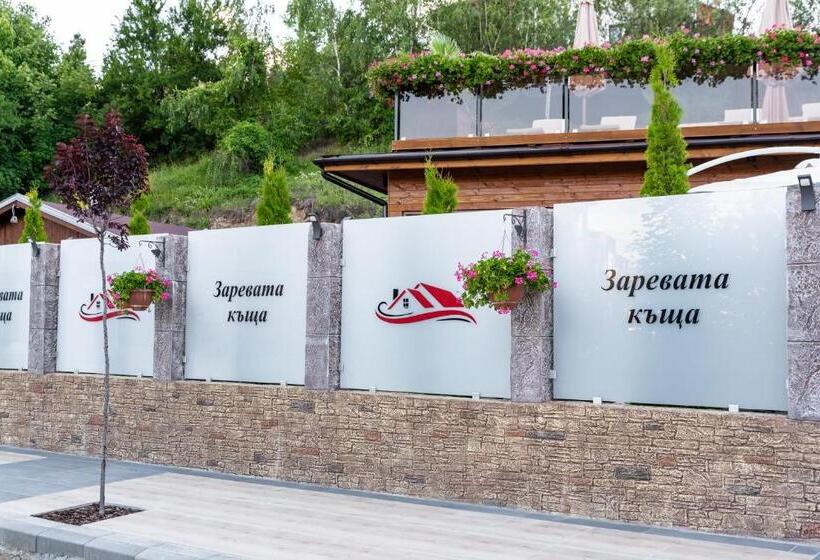 ペンション Zarevata Guest House