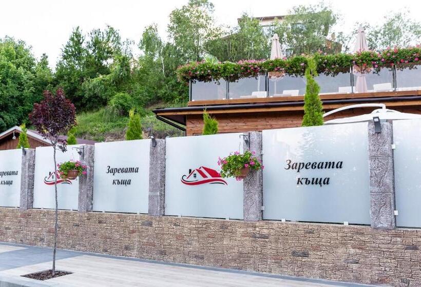 ペンション Zarevata Guest House